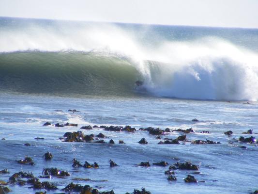 Abbas Mouton at Farmers Burgers