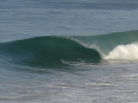 Punta Colarodo