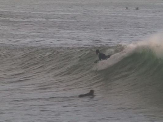 Russell Shaw at Bay of Plenty
