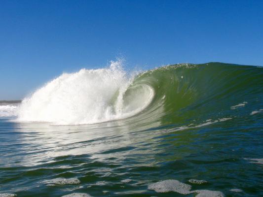 West Coast Undisclosed