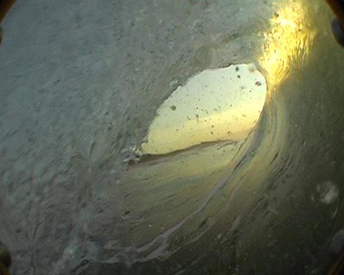 Jared Schafer at Bronze