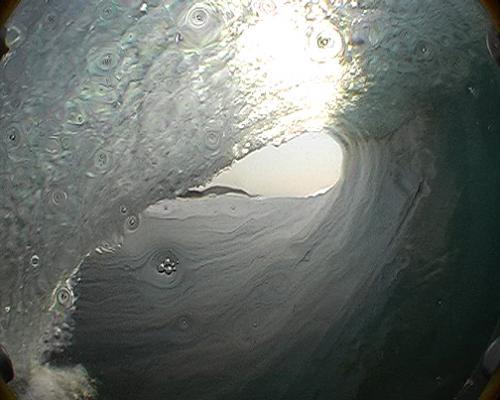 Jared Schafer at Bronze