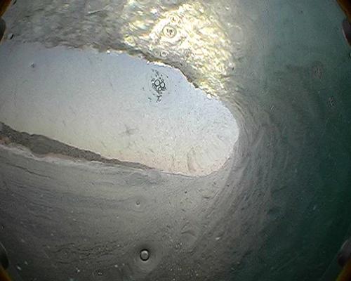 Jared Schafer at Bronze