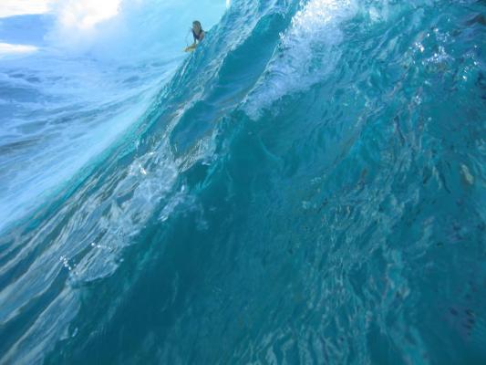 Wade Harrison at Super Suck