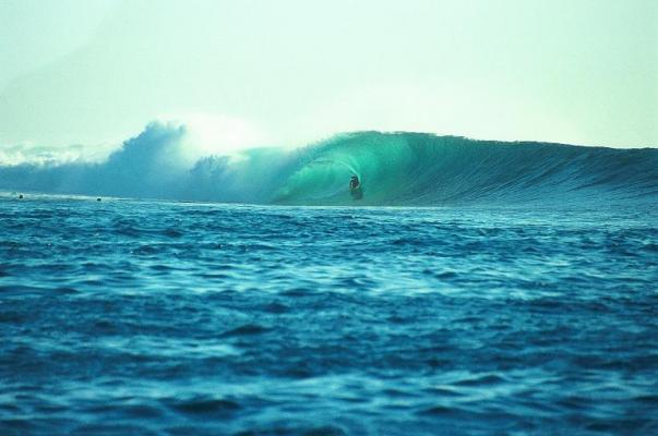 Wade Harrison at Super Suck