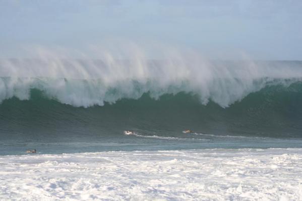 Wade Harrison at Keiki