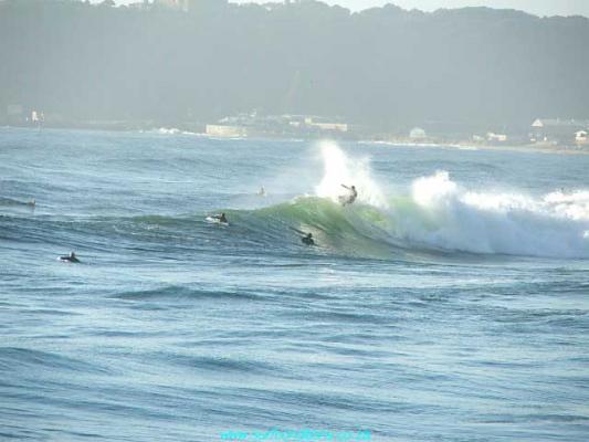 Sascha Taljaard at New Pier