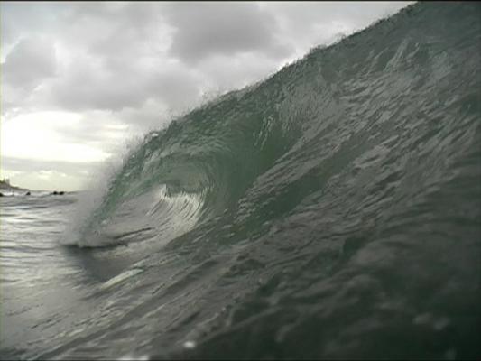 Saul Segal at Kalk Bay