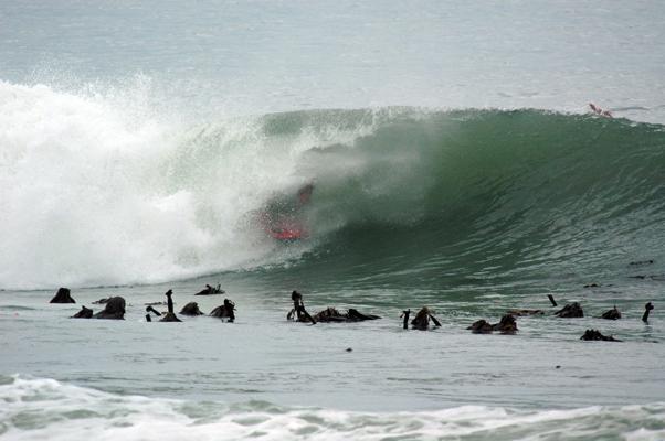 Jonathan Maritz at Kalk Bay