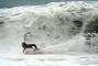 Paul Basson :: Thanks for standing behind the lens Abby