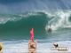 Wade Harrison :: keiki+shorey